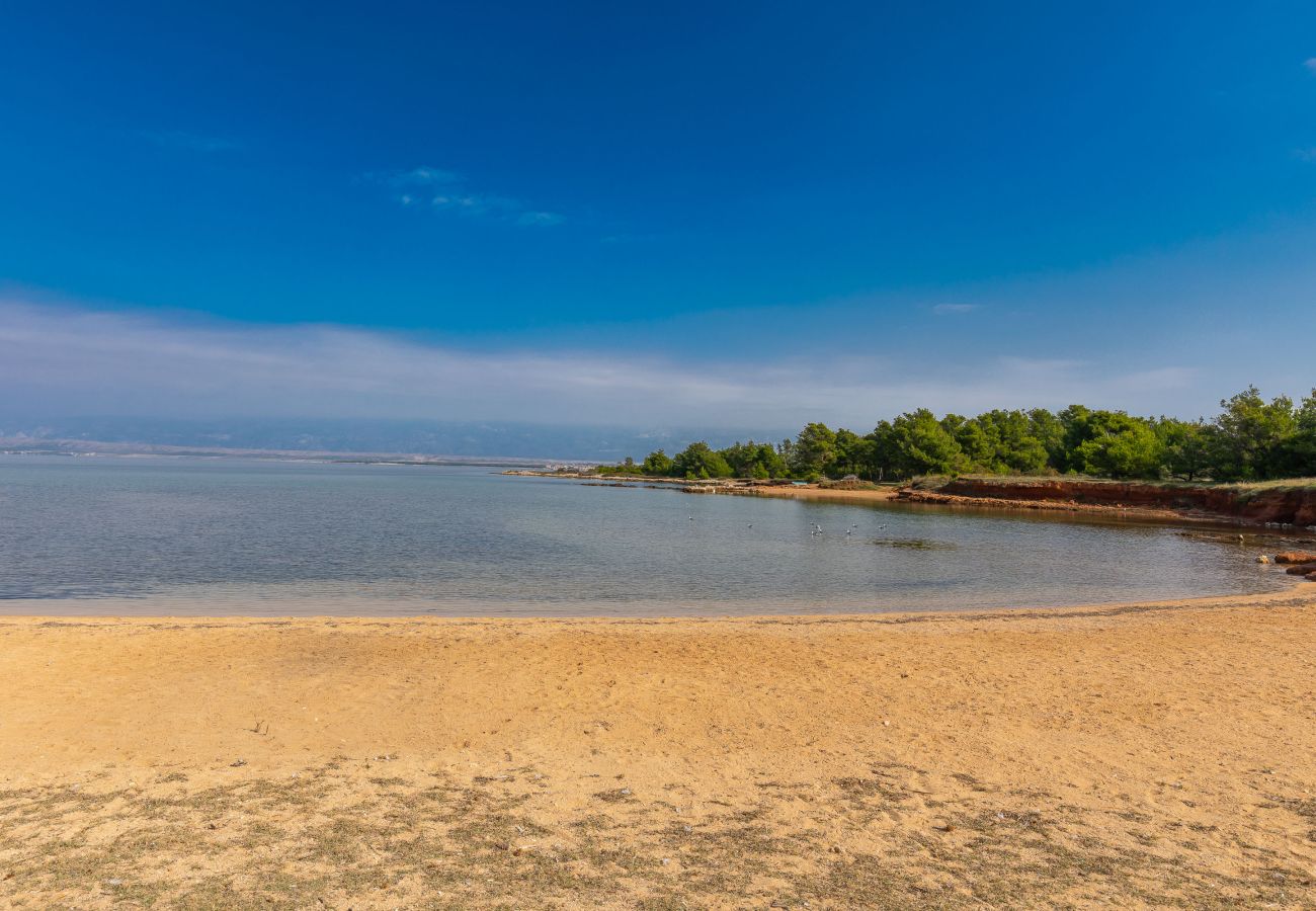 House in Vir - Holiday Home Maria with Private Beach Access