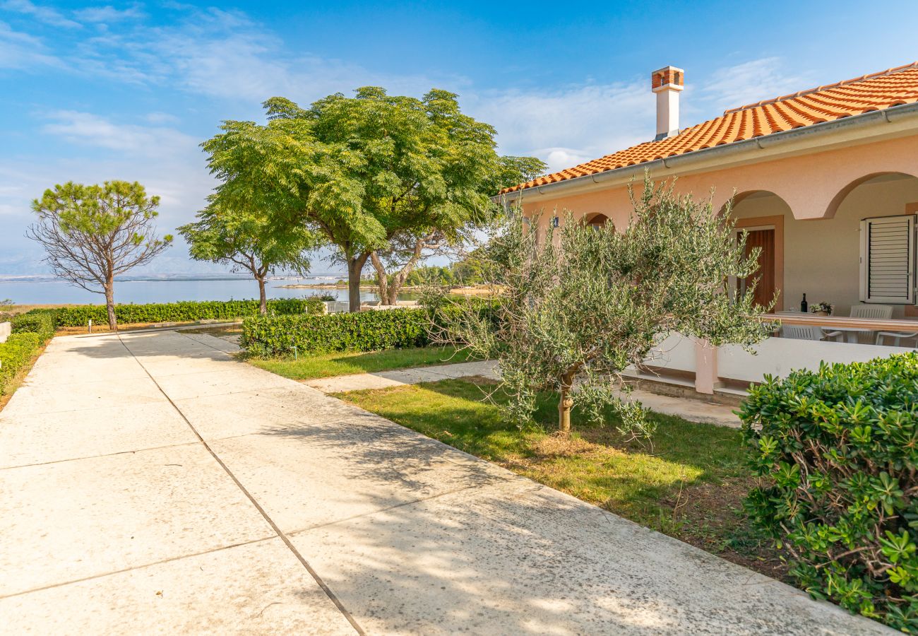 House in Vir - Holiday Home Maria with Private Beach Access