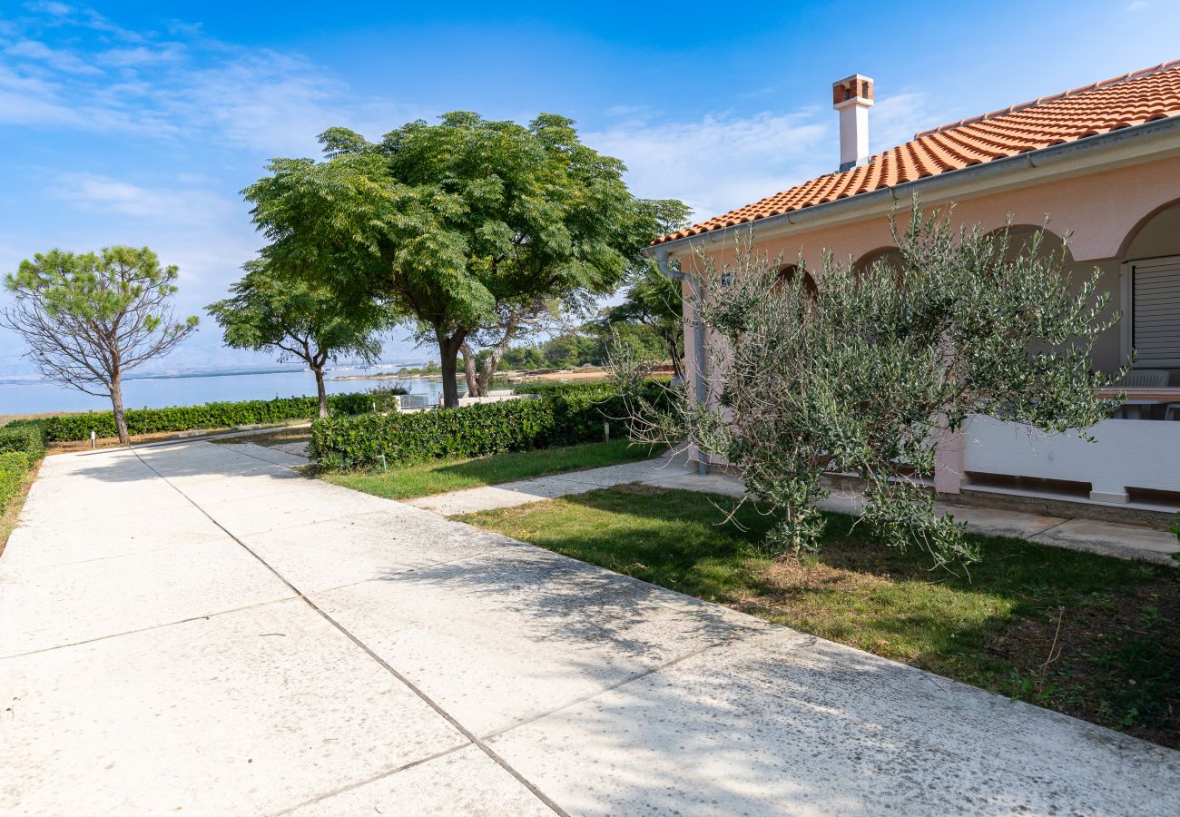 House in Vir - Holiday Home Maria with Private Beach Access