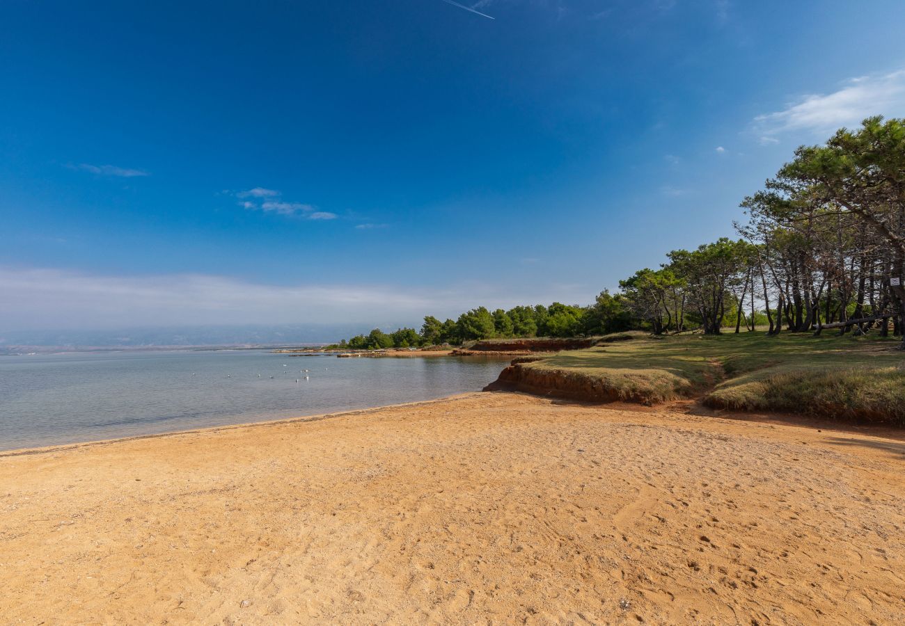 House in Vir - Holiday Home Manuela with Private Beach Access