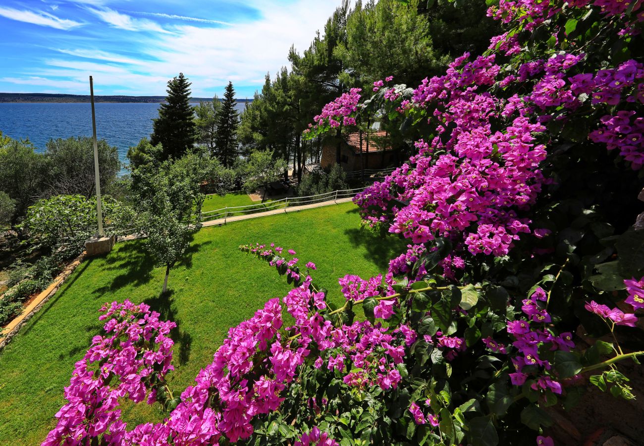 Apartment in Starigrad - Apartment Candela 6 by the Sea
