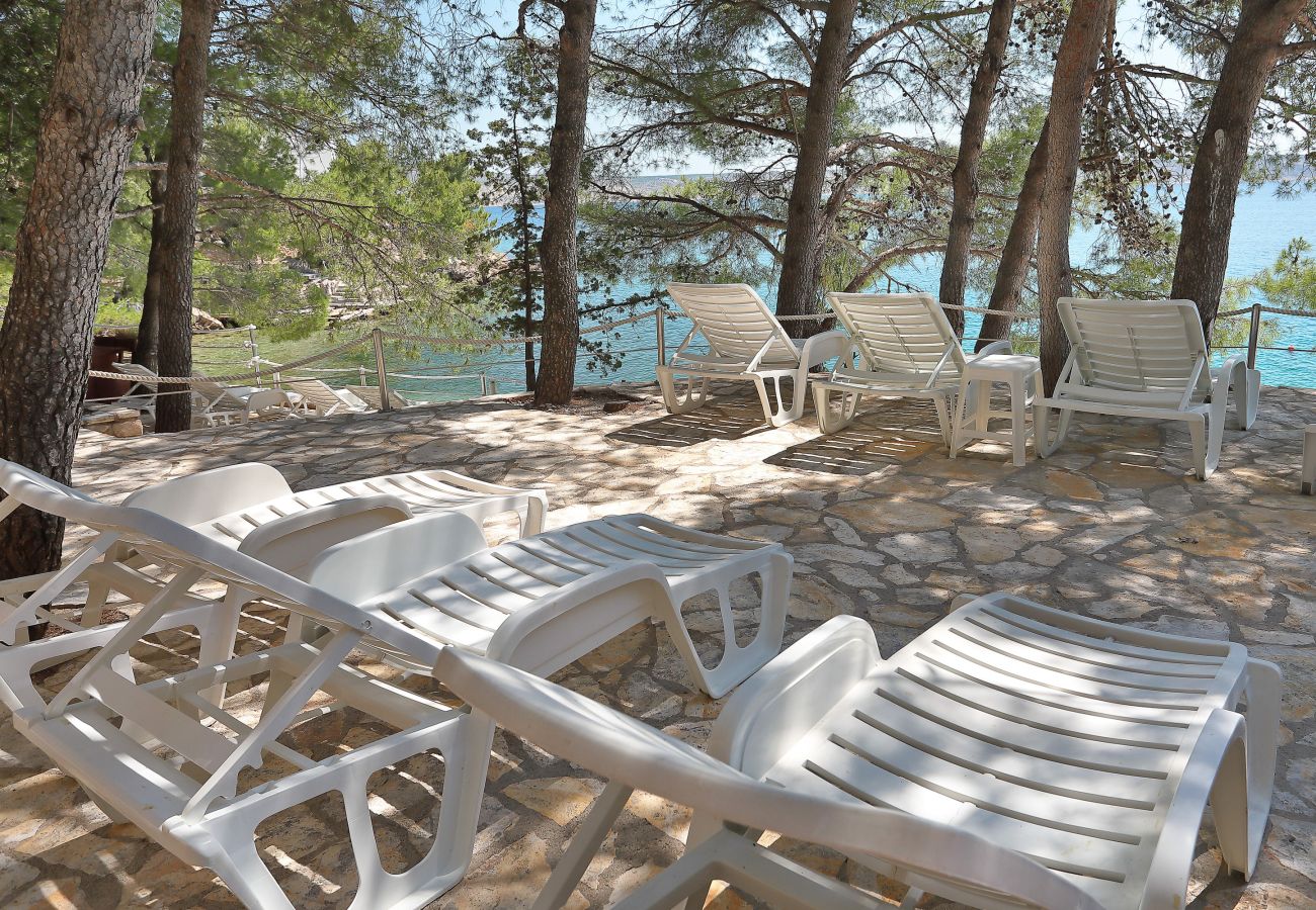 Apartment in Starigrad - Apartment Candela 3 by the Sea