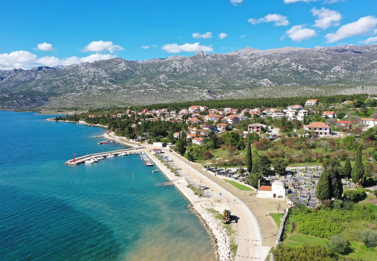 Apartment in Rovanjska - Apartment Marina No.2 with Sea View