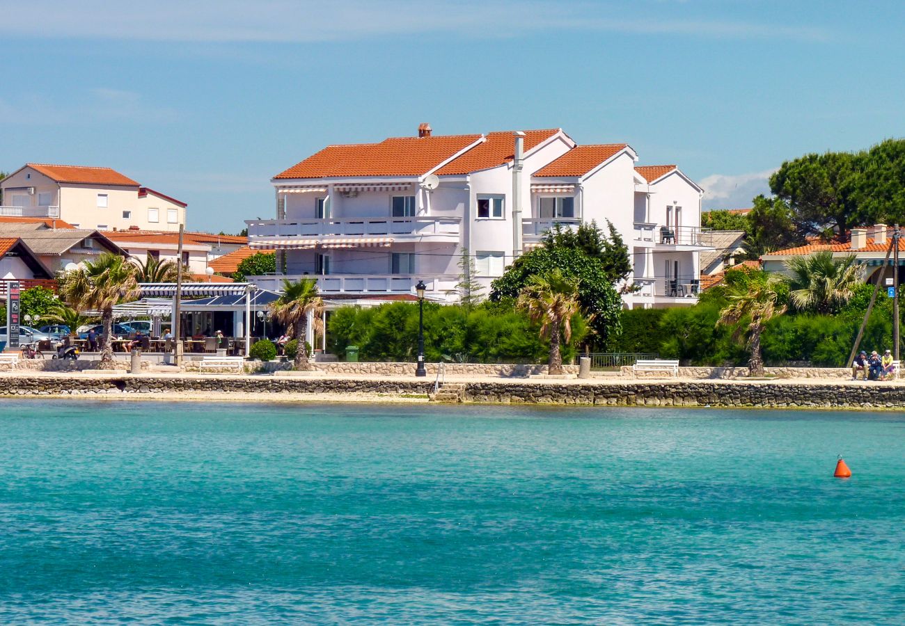 Apartment in Vir - Apartment Paradiso No.2 with Sea View