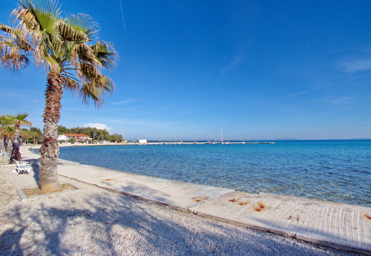 Apartment in Vir - Apartment Paradiso No.1 with Sea View