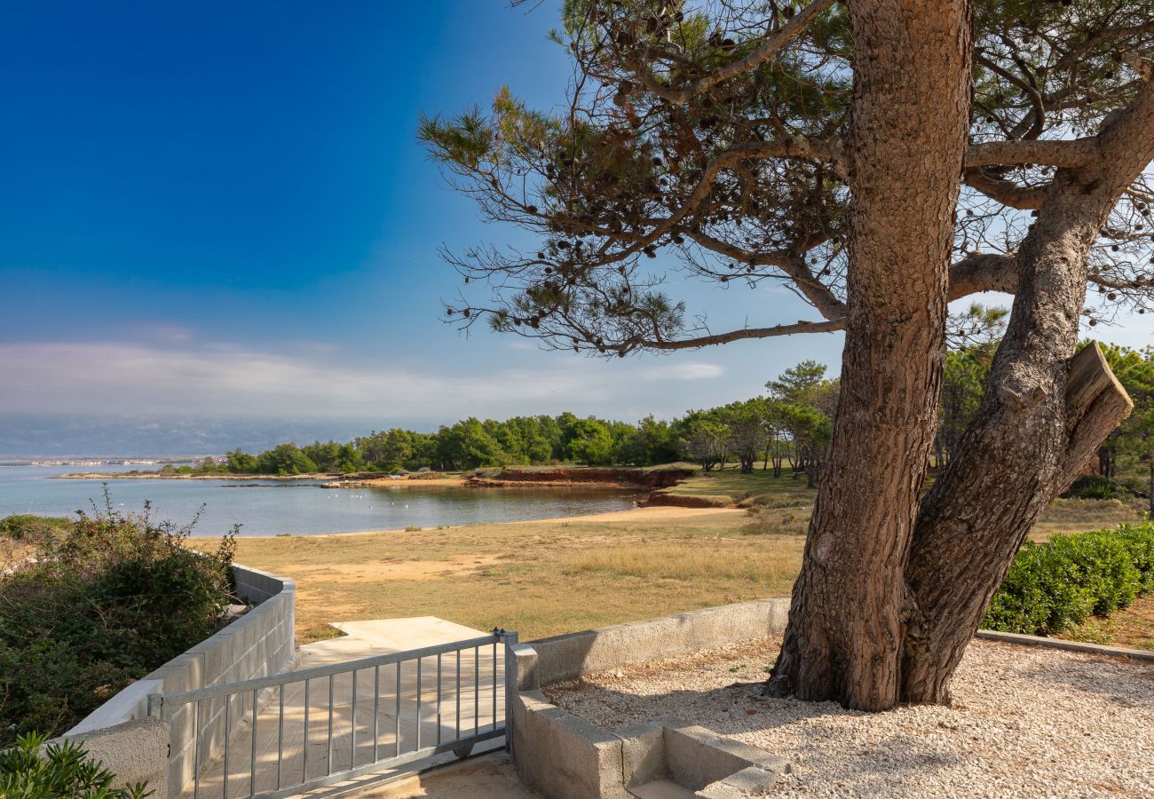 House in Vir - Holiday Home Ana Maria by the Beach