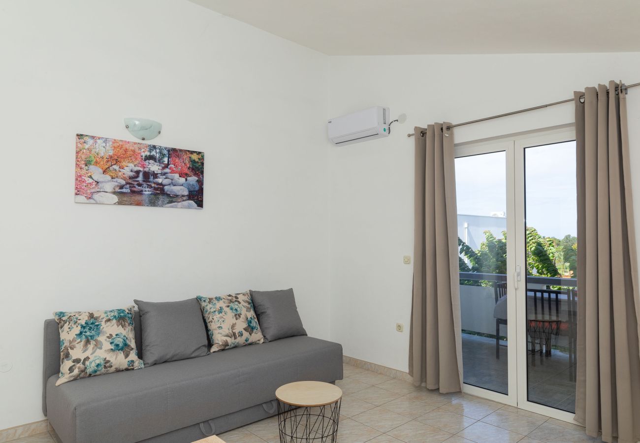 Apartment in Vrsi - Apartment Perinic No.2 in Vrsi