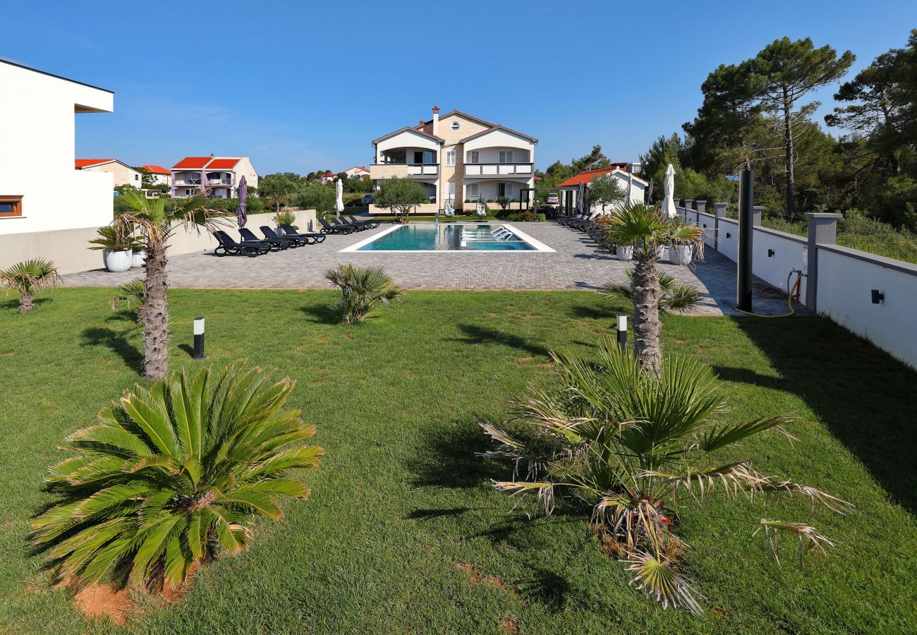 Apartment in Vir - Apartment Suva Punta 4 by the Sea