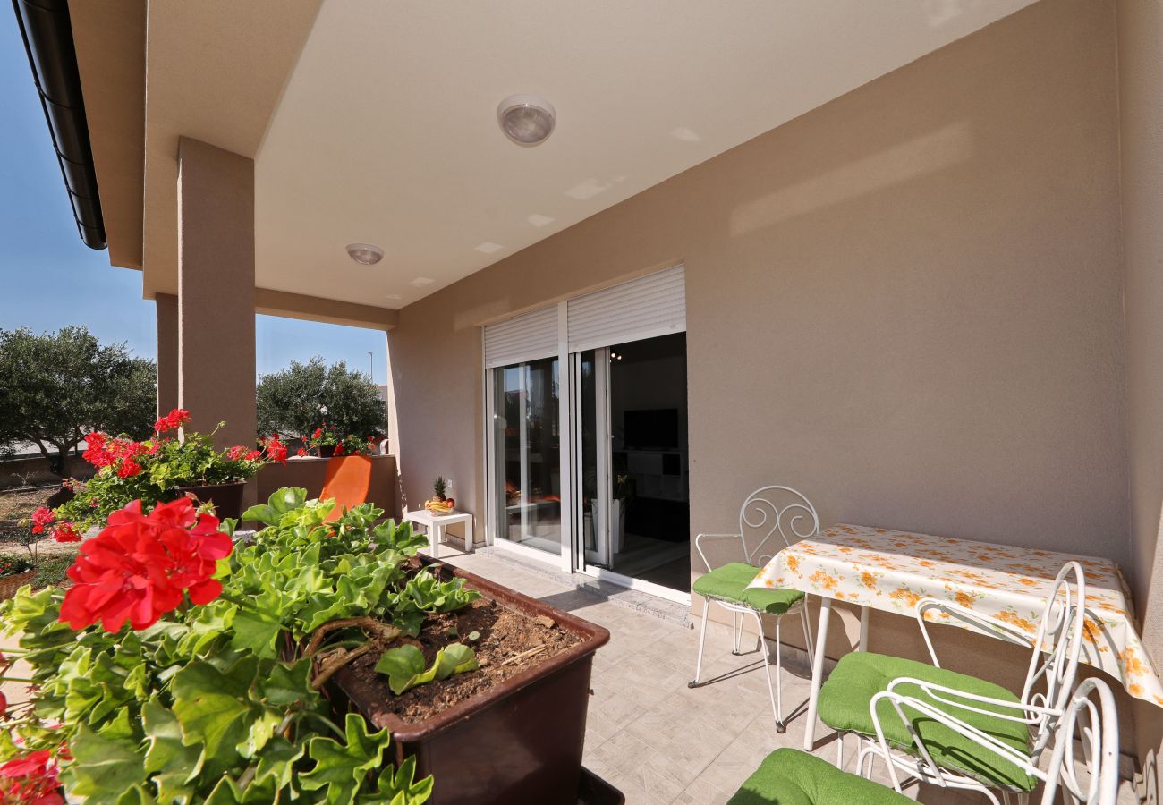Apartment in Zadar - Apartment Jerbic next to Višnjik Sports Center