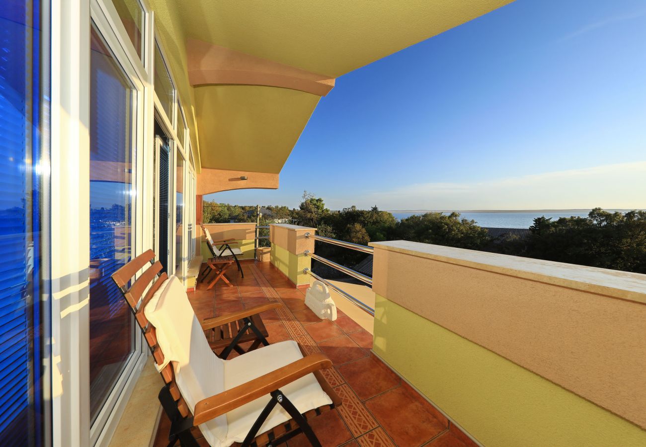 Villa in Starigrad - Villa Paulina with Heated Pool