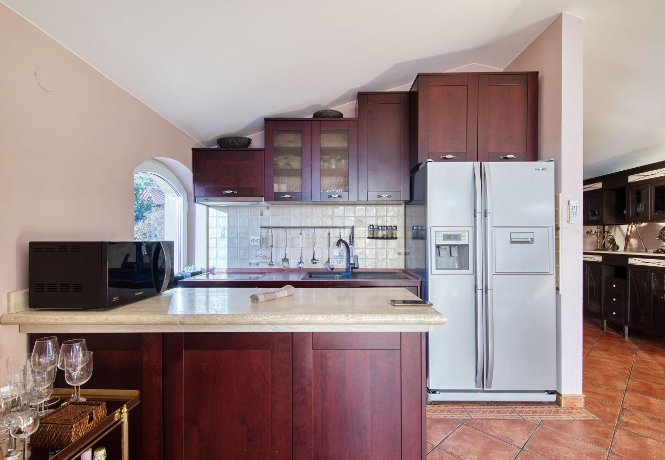 Villa in Starigrad - Villa Paulina with Heated Pool