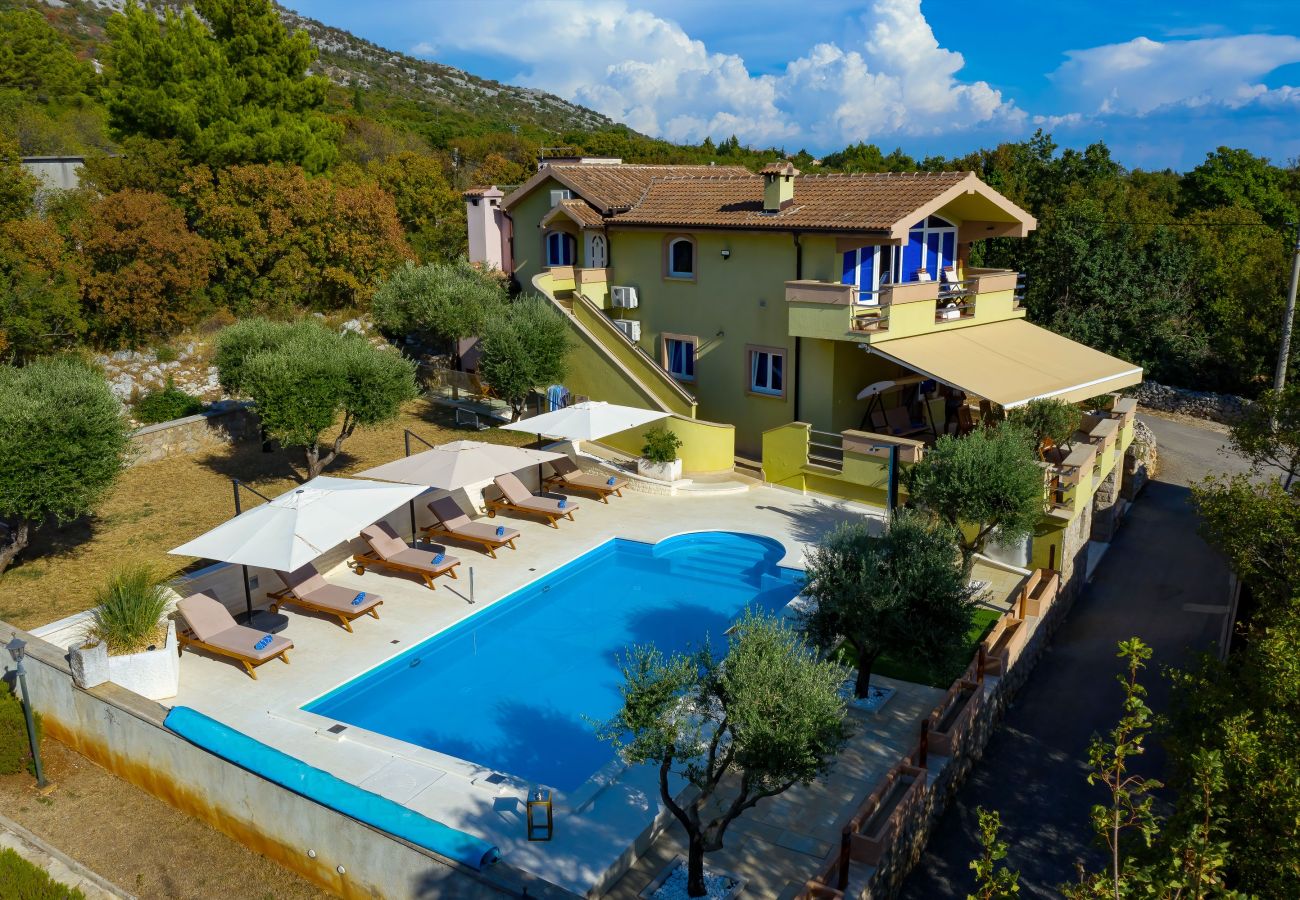 Villa in Starigrad - Villa Paulina with Heated Pool