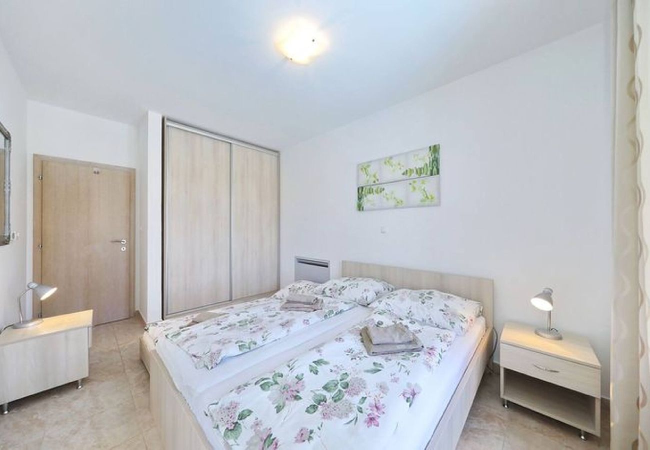Apartment in Privlaka - Darsofina No 3 