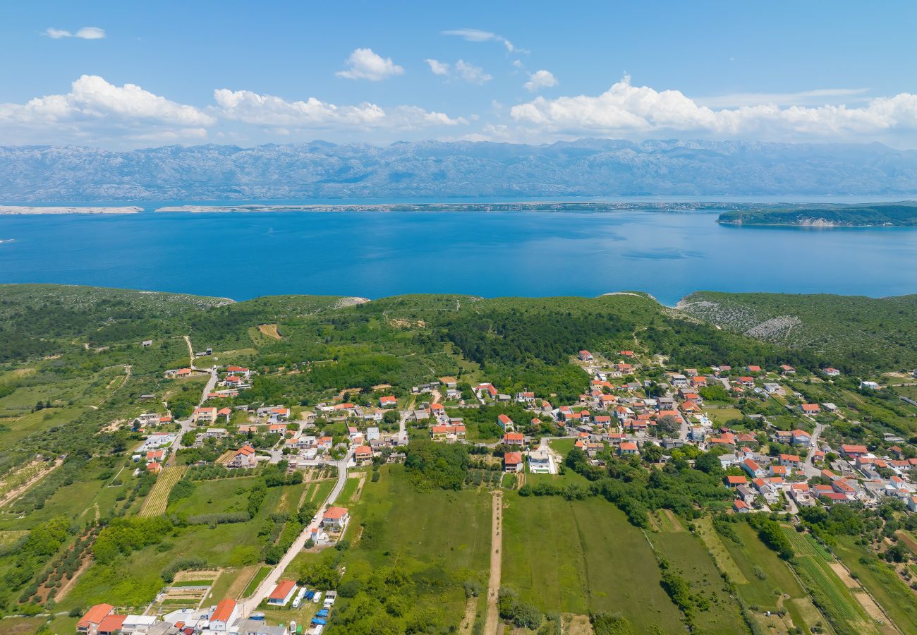 Villa in Vrsi - Villa Angelina with Heated Pool
