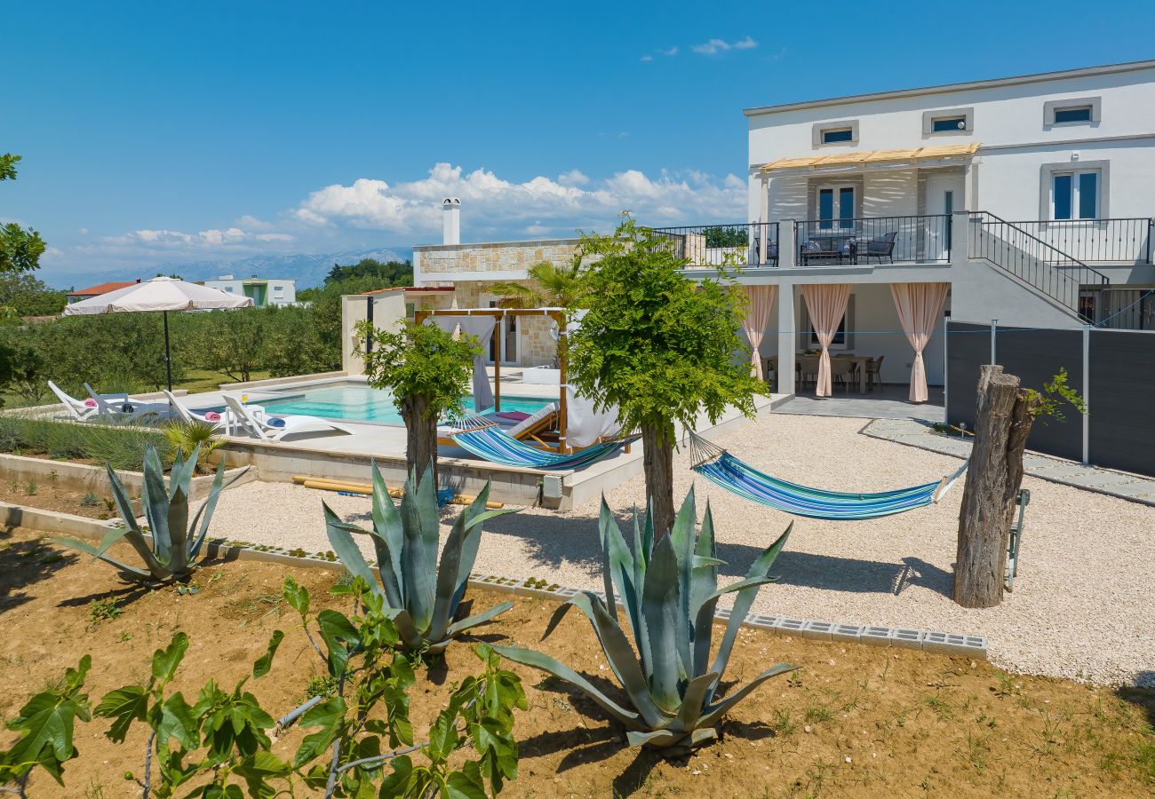 Villa in Vrsi - Villa Angelina with Heated Pool