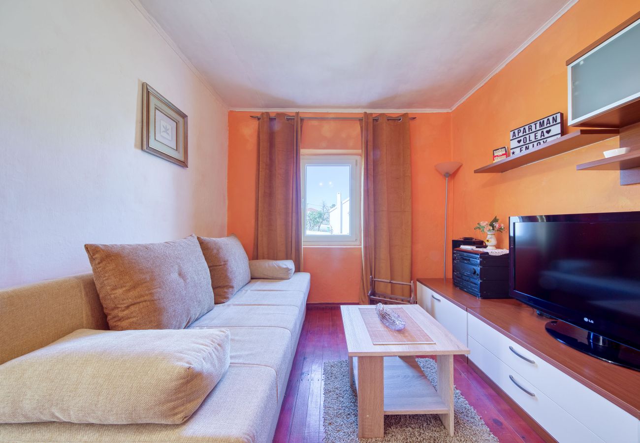 House in Ražanac - Holiday House Rudic with large garden