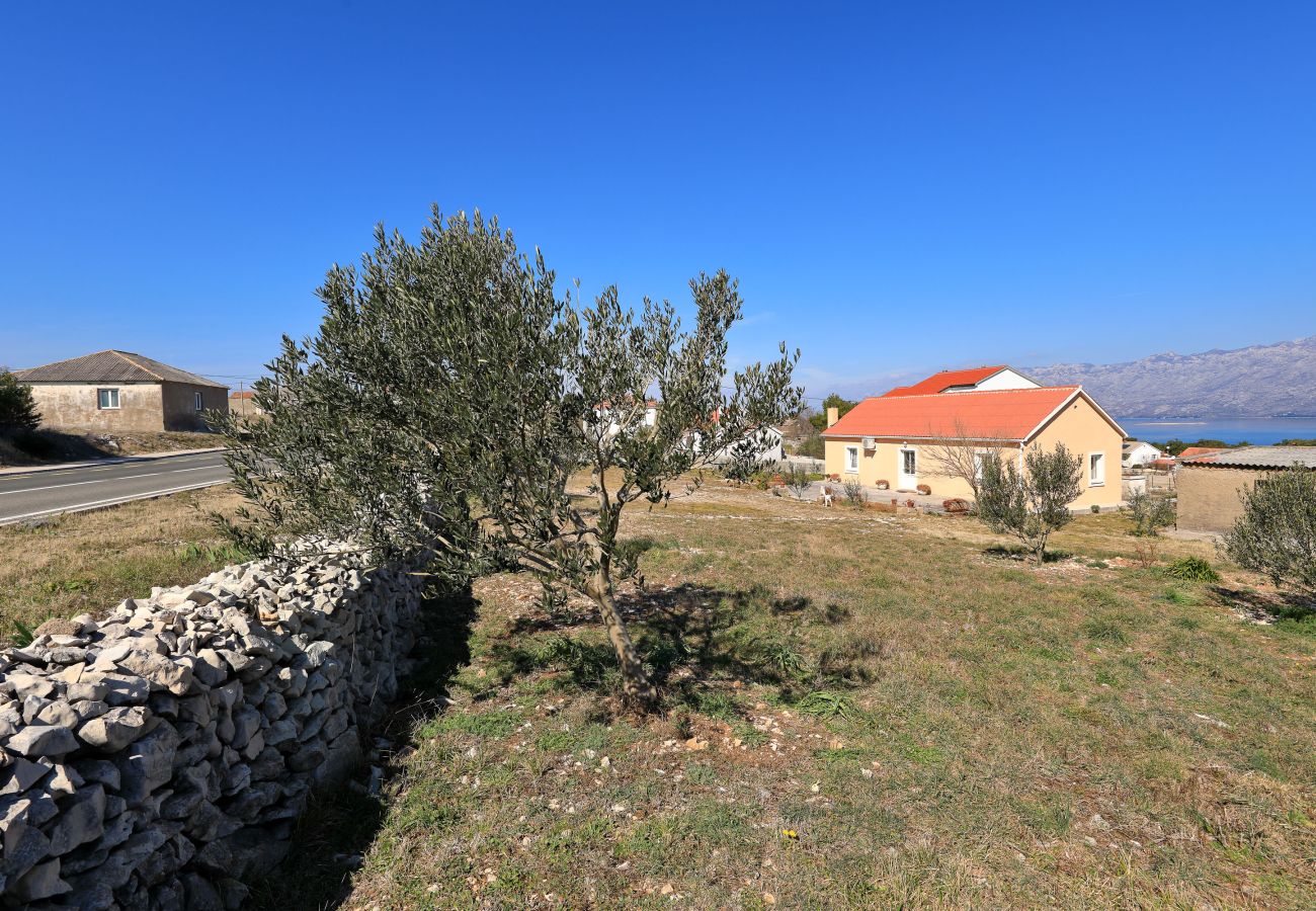 House in Ražanac - Holiday House Rudic with large garden