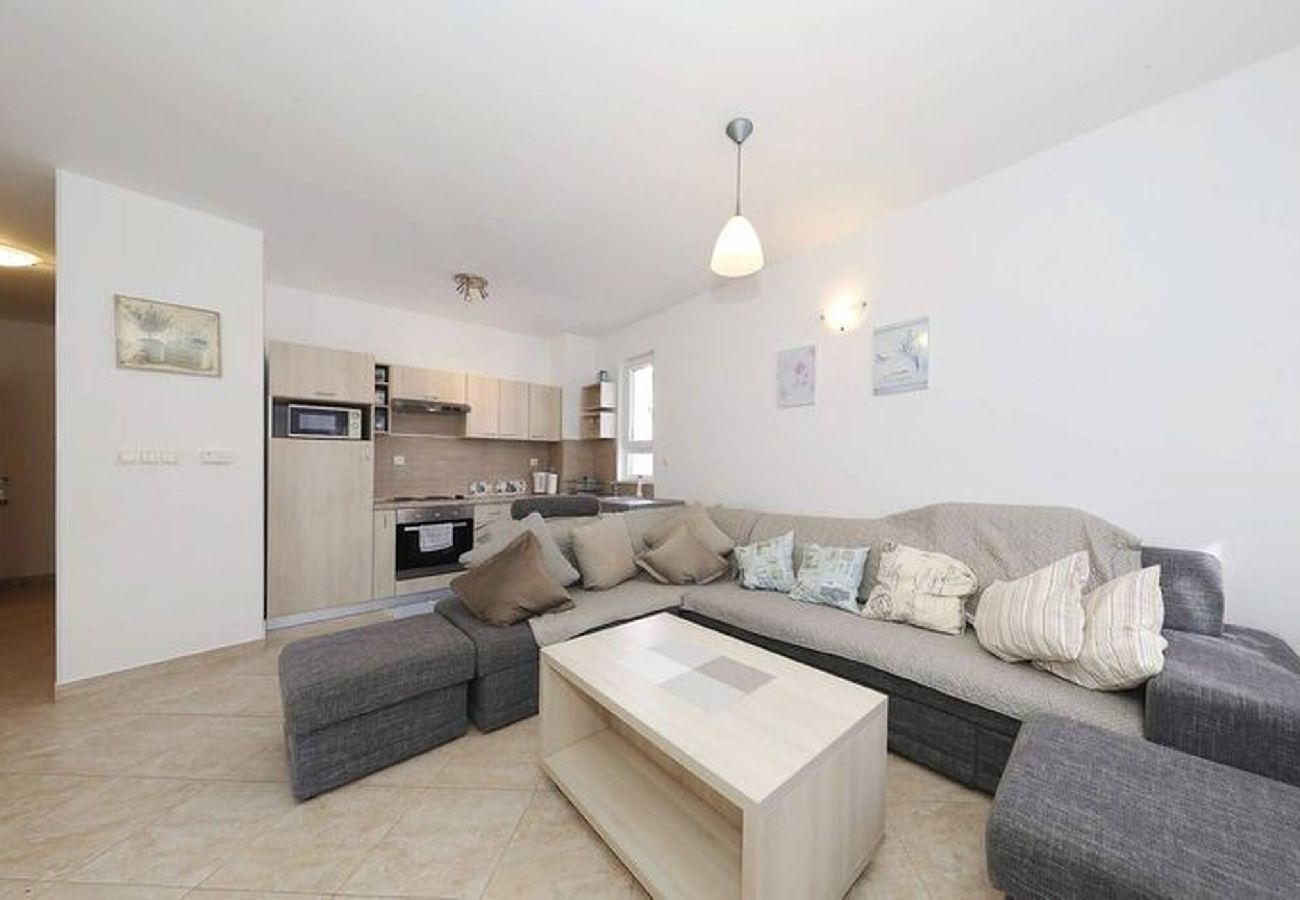 Apartment in Privlaka - Darsofina No 5 