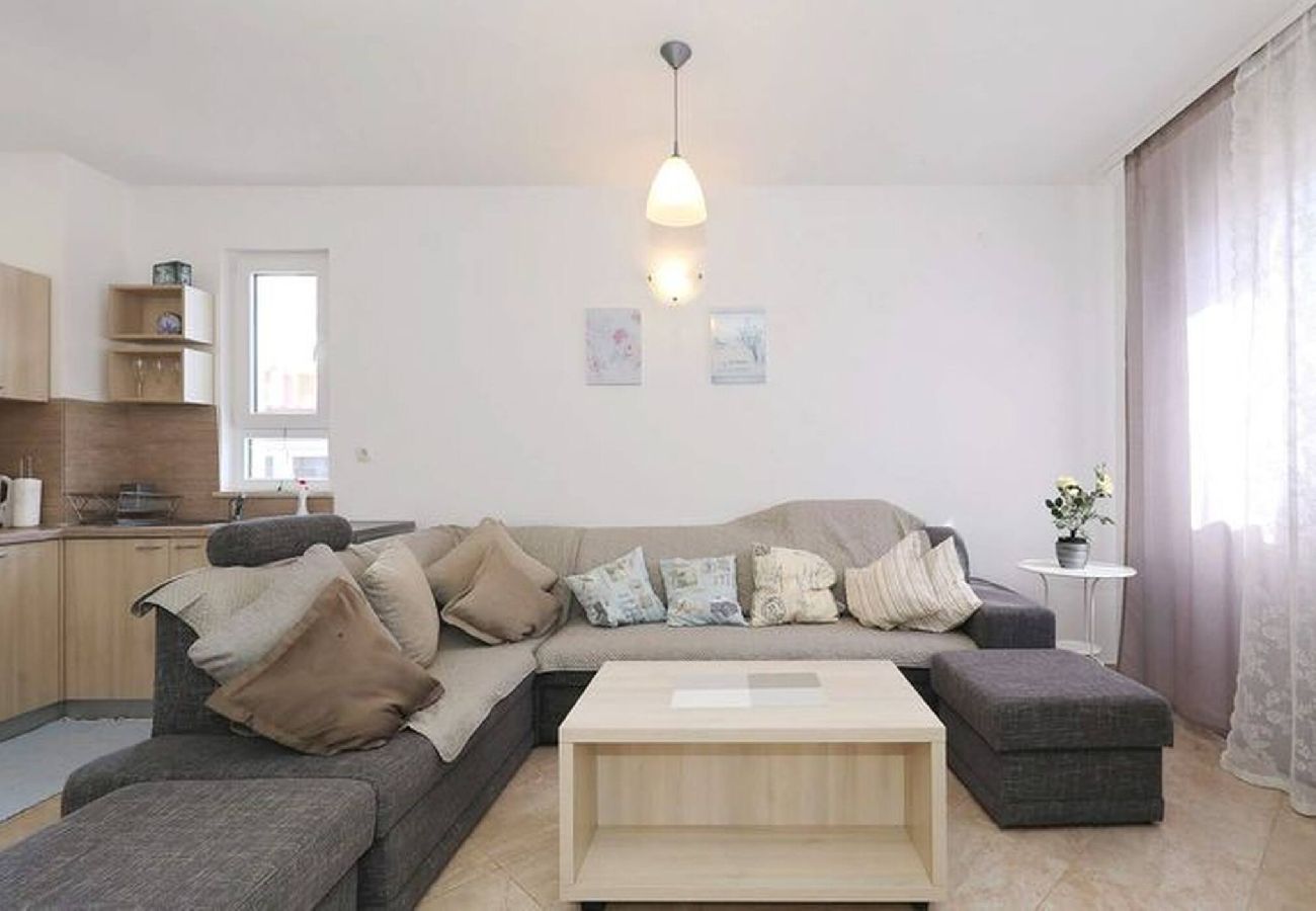 Apartment in Privlaka - Darsofina No 5 