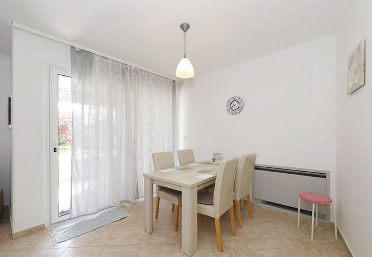 Apartment in Privlaka - Darsofina No 5 