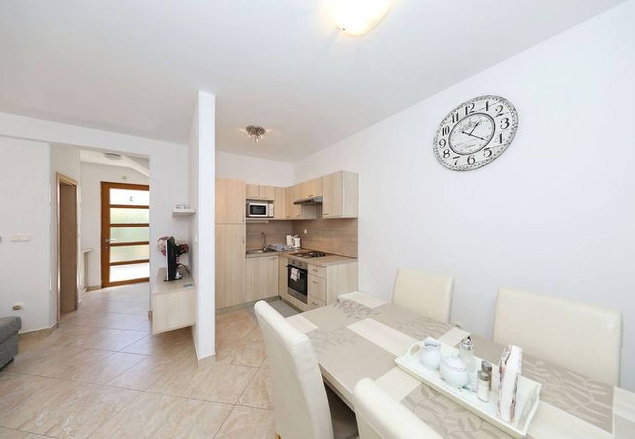 Apartment in Privlaka - Darsofina No 4 