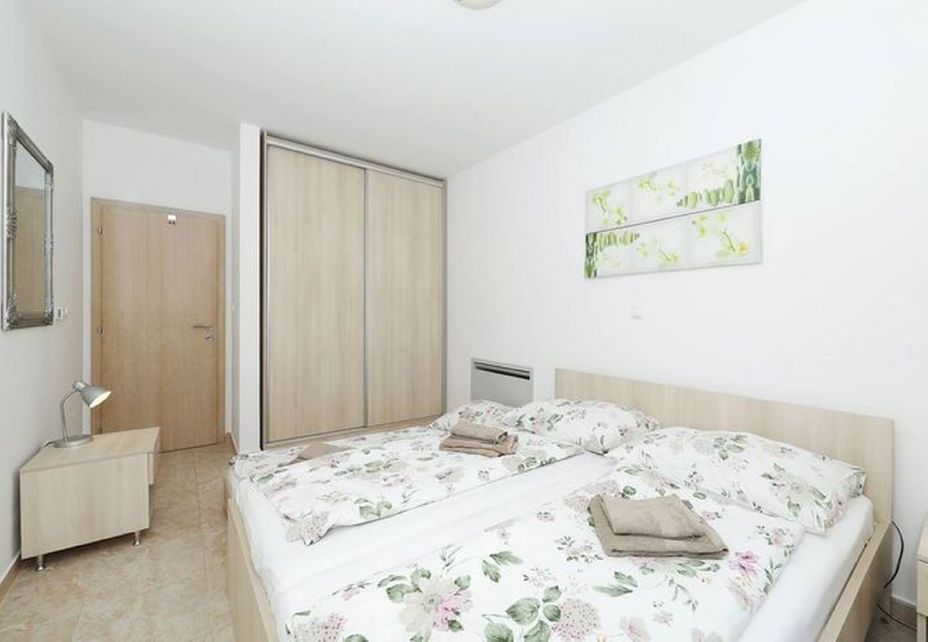 Apartment in Privlaka - Darsofina No 4 