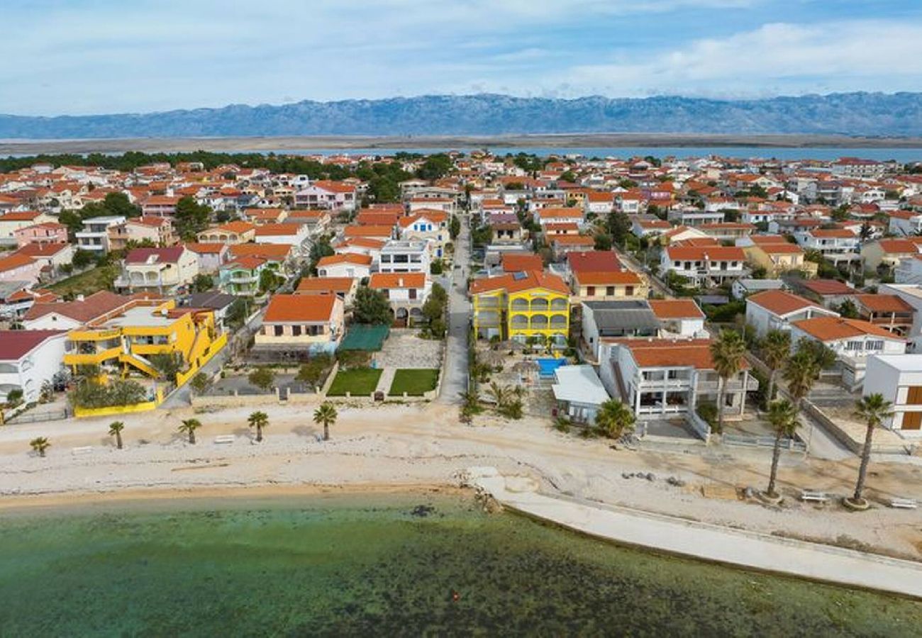 Apartment in Vir - Apartment Cicak No 1 near the beach
