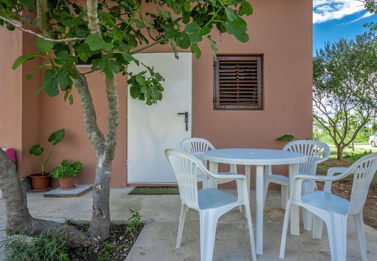 Apartment in Vrsi - Apartment Rubbi No.3 with terrace