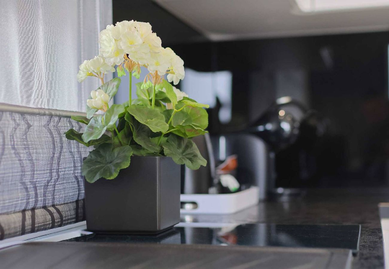 Apartment in Zadar -  Apartment Luxury Apartment 3 with Balcony