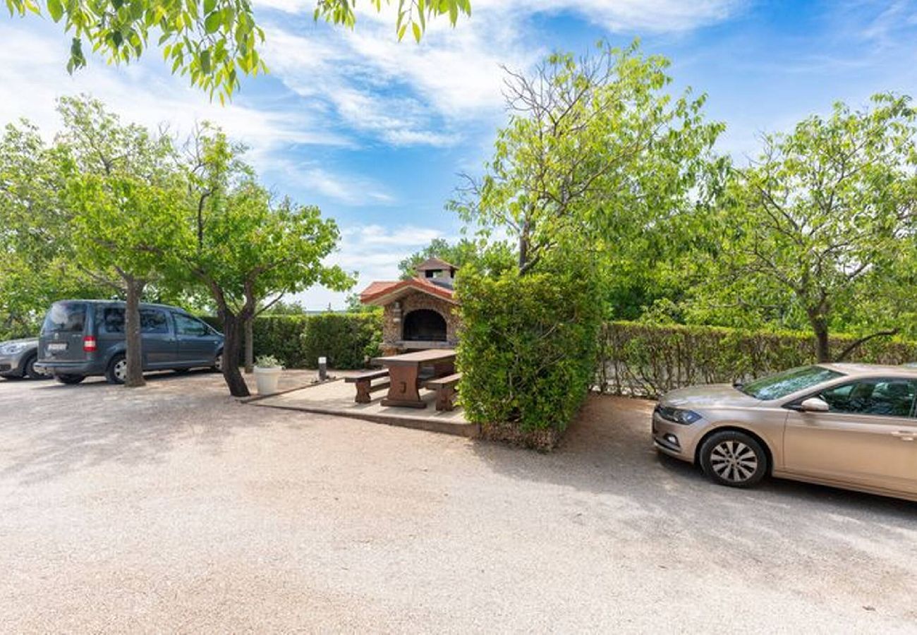 Studio in Starigrad - Studio Stanic No.1 with terrace