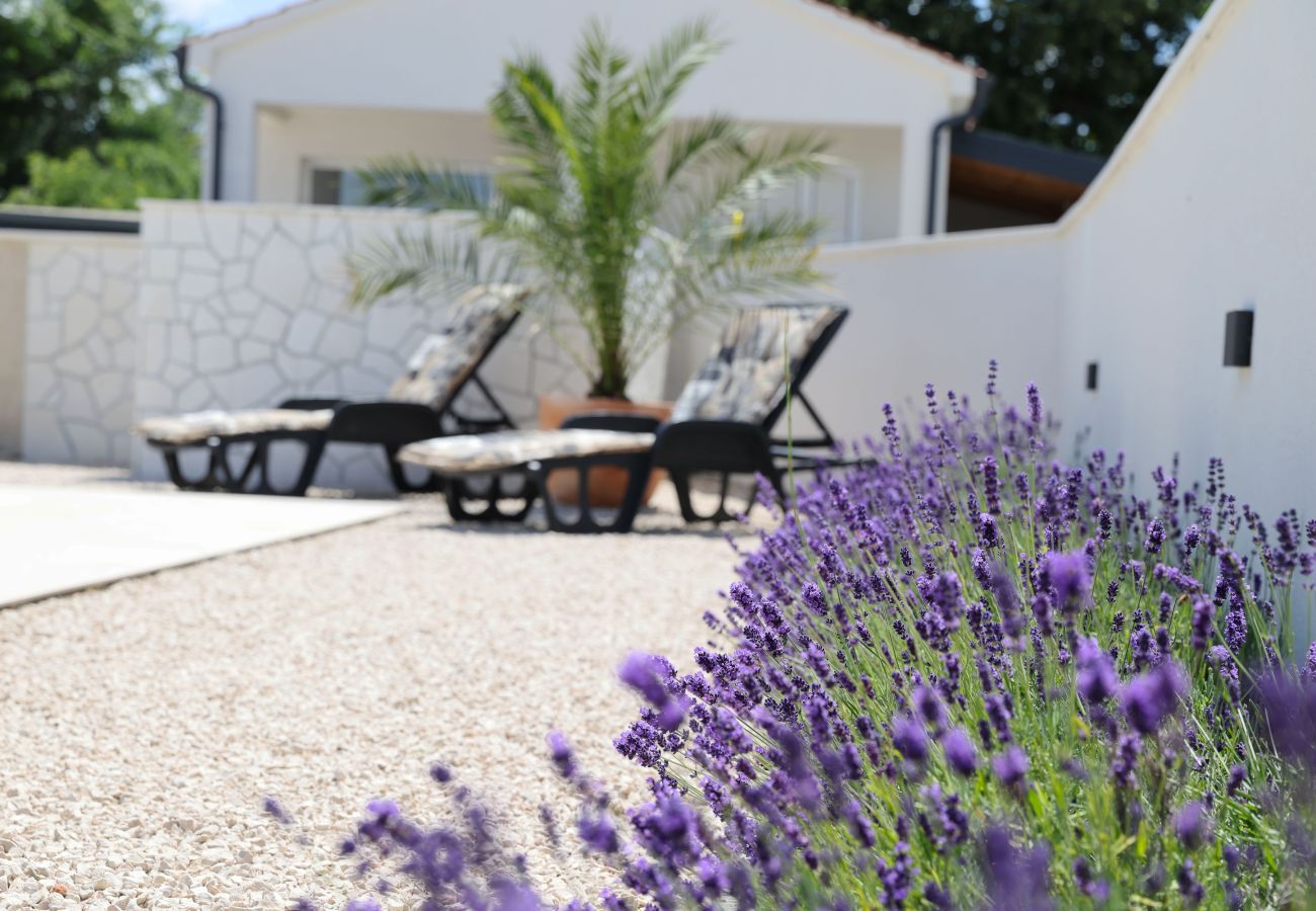 House in Vrsi -  Holiday Home Luca with Pool and Terrace