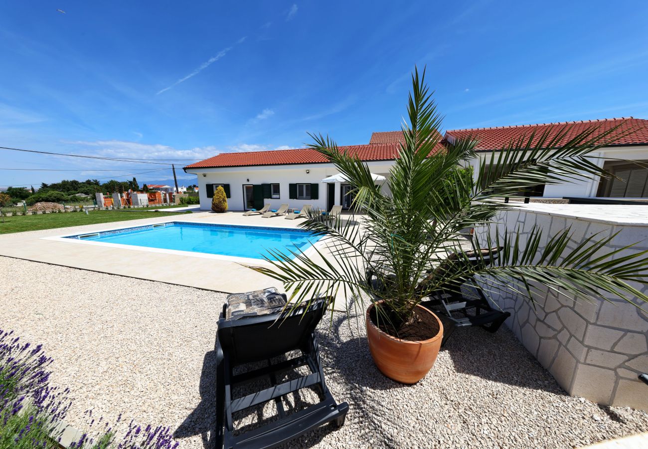 House in Vrsi -  Holiday Home Luca with Pool and Terrace