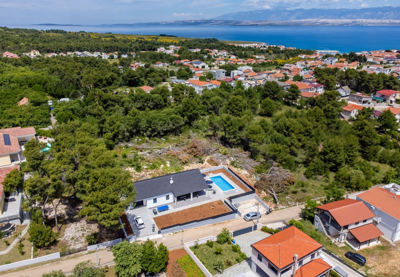 Apartment in Vir - Holiday House Radovic with Pool
