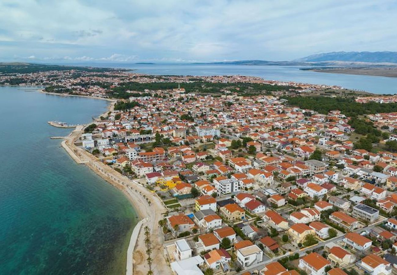 Apartment in Vir - Apartment Cicak No 2 with Sea view