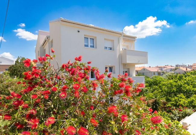 Apartment in Zadar - Apartment Klanac 2 with Two Balconies