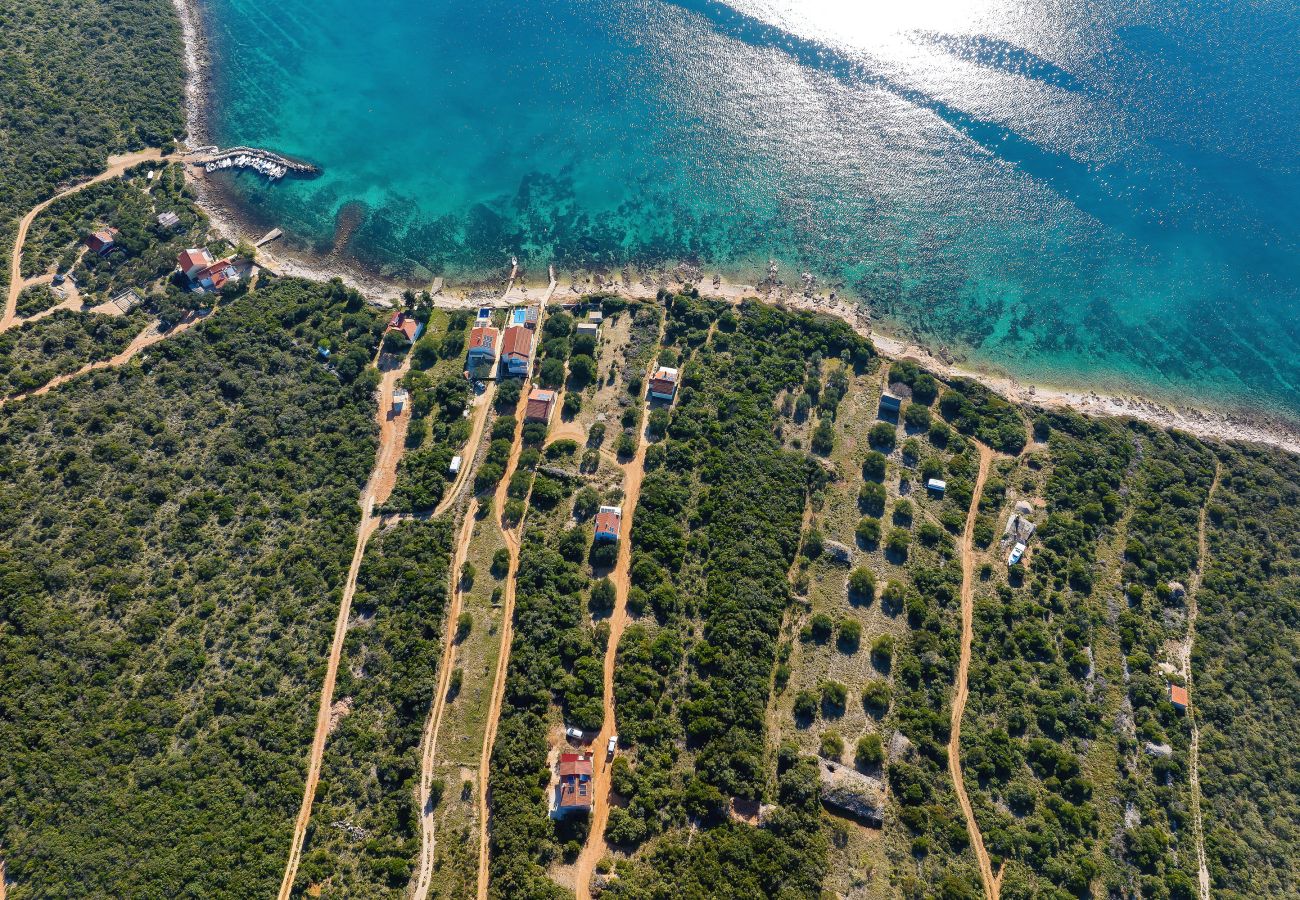 House in Dobropoljana - Holiday Home Despoja near Natural Beach