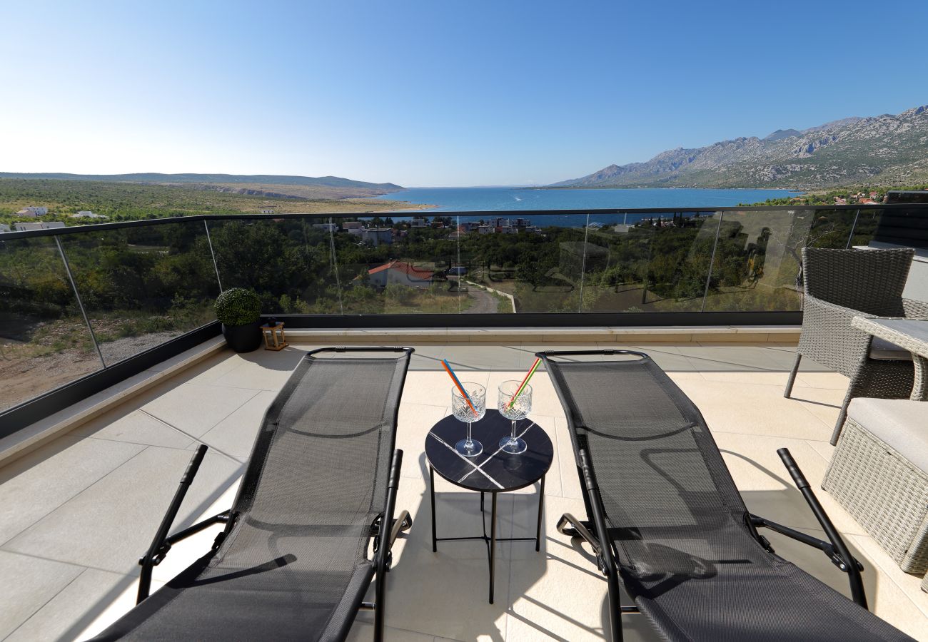 Apartment in Rovanjska - Apartment Bay View with Private Pool