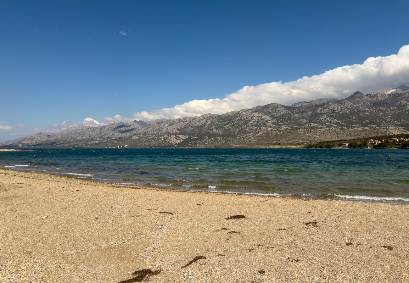 Apartment in Rovanjska - Apartment Bay View with Private Pool