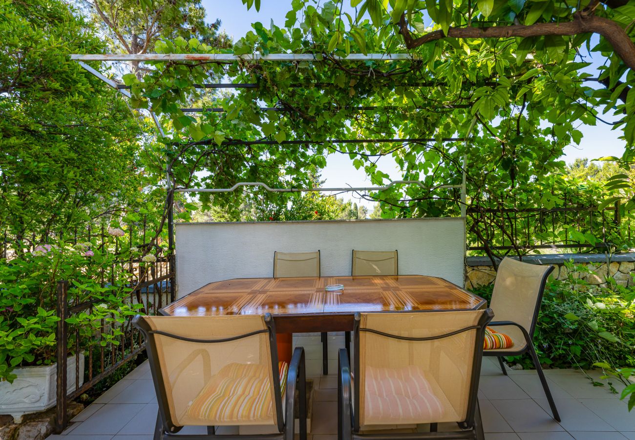 Apartment in Starigrad - Apartment Nina No.1 near Paklenica