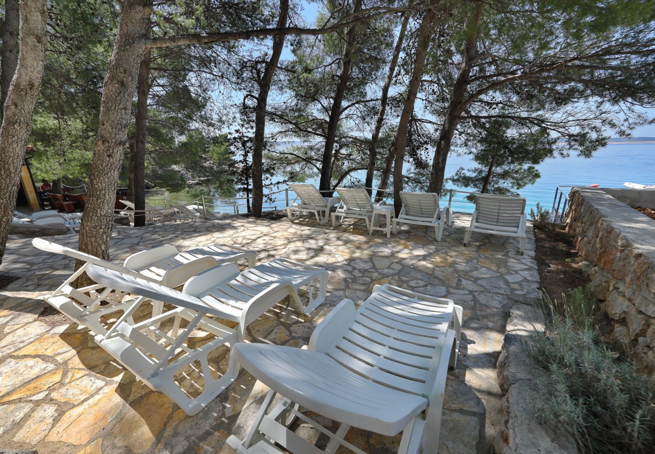 Ferienwohnung in Starigrad - Ferienwohnung Candela 2 direkt am Meer