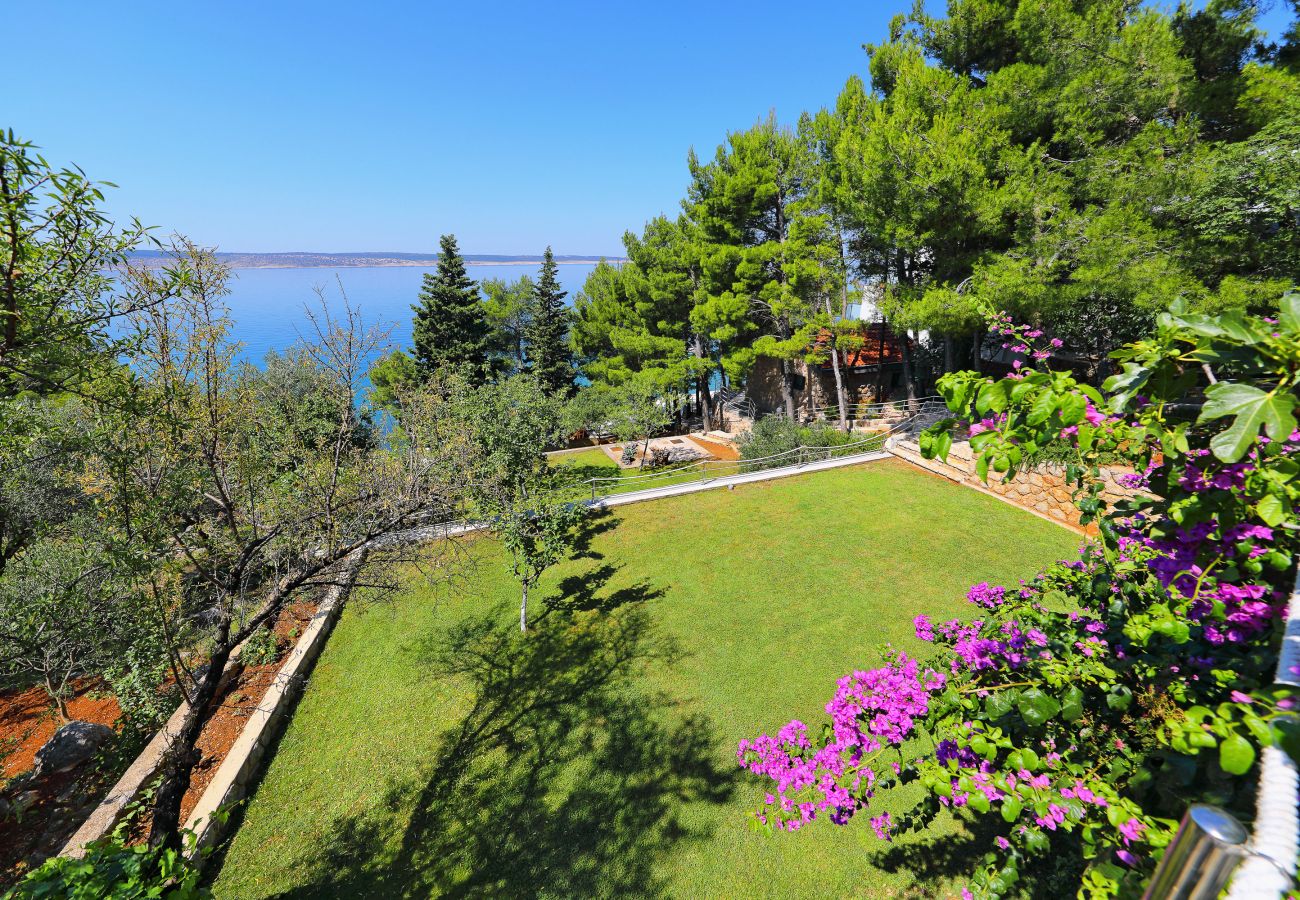 Ferienwohnung in Starigrad - Ferienwohnung Candela 2 direkt am Meer