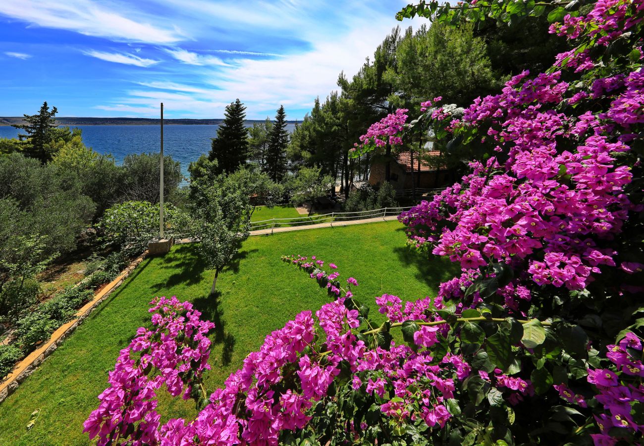 Ferienwohnung in Starigrad - Ferienwohnung Candela 2 direkt am Meer