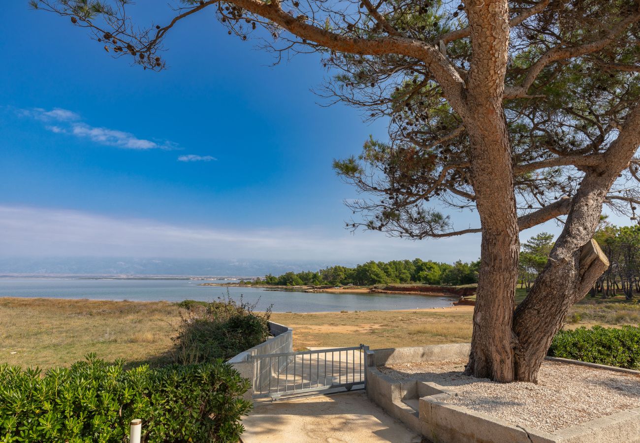 Ferienhaus in Vir - Ferienhaus Ana Maria am Strand