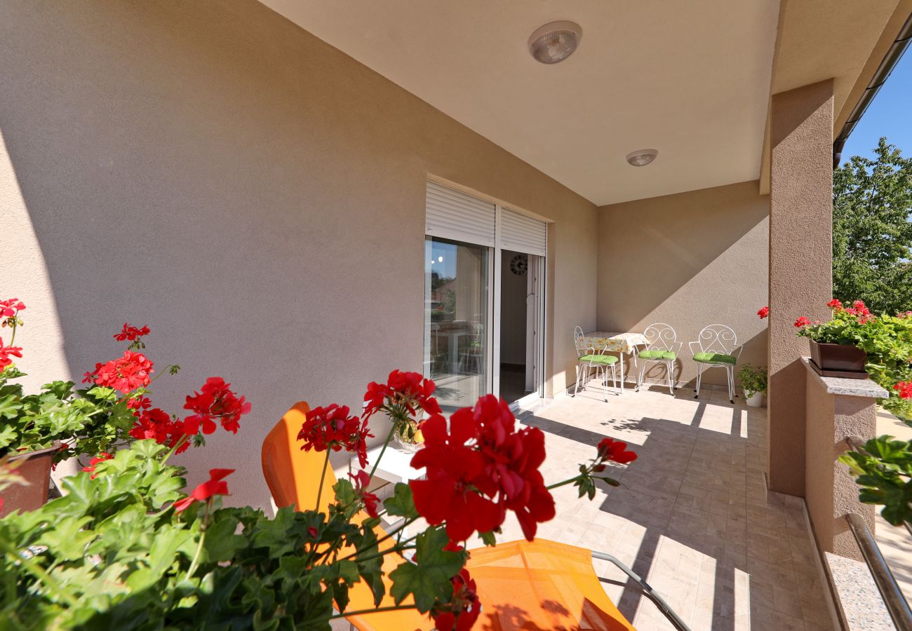 Ferienwohnung in Zadar - Ferienwohnung Jerbic beim Sportzentrum Višnjik