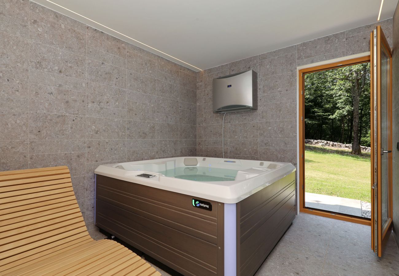 Villa in Lovinac - Villa Lovelos mit Infinity Pool in ruhiger Natur