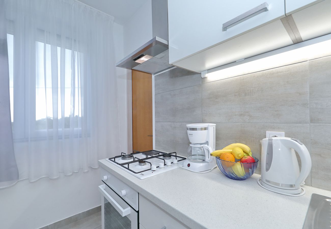 Ferienhaus in Vrsi - Ferienhaus Eda mit Pool