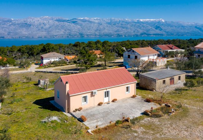 Ferienhaus in Ražanac - Ferienhaus Rudic mit großem Garten