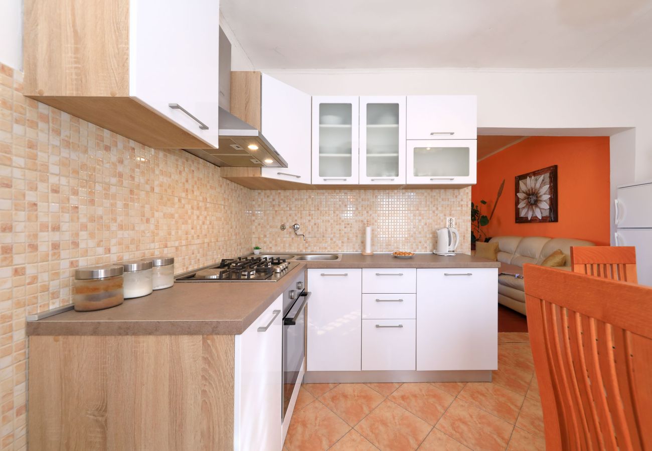 Ferienhaus in Ražanac - Ferienhaus Rudic mit großem Garten