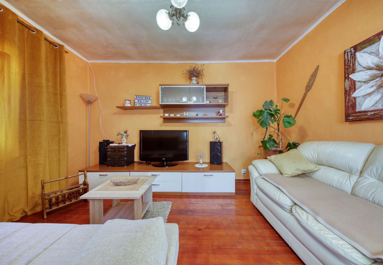 Ferienhaus in Ražanac - Ferienhaus Rudic mit großem Garten