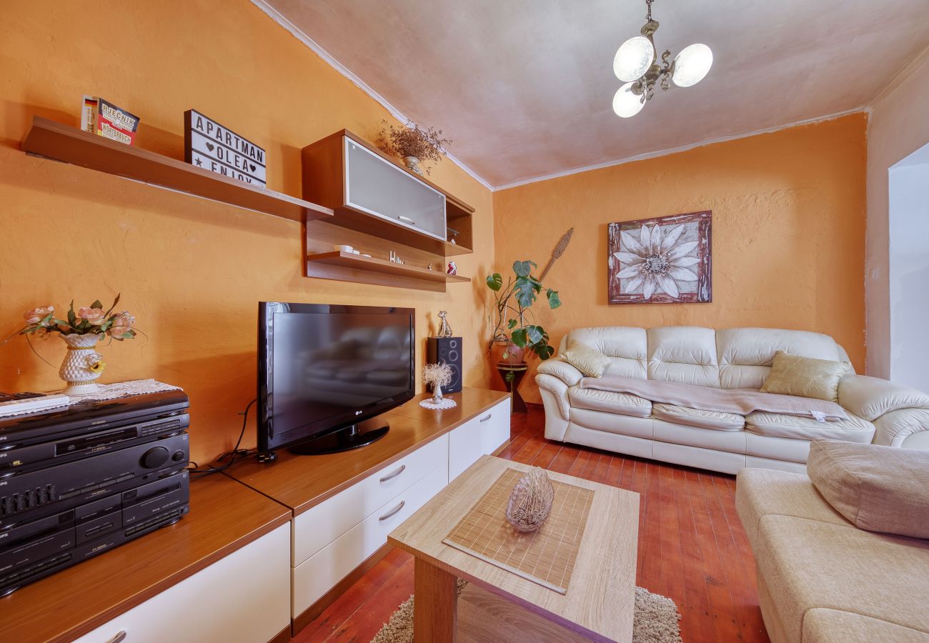 Ferienhaus in Ražanac - Ferienhaus Rudic mit großem Garten